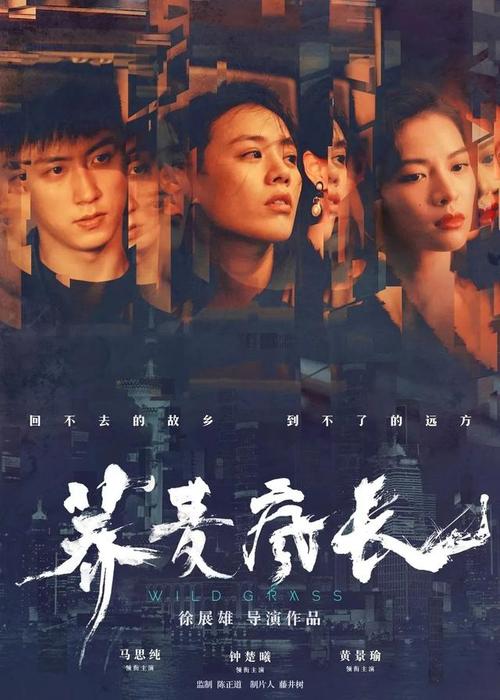 买个假美国SCE&GLight地址证明